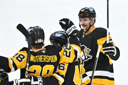 article image - Sweden Predators Penguins Hockey